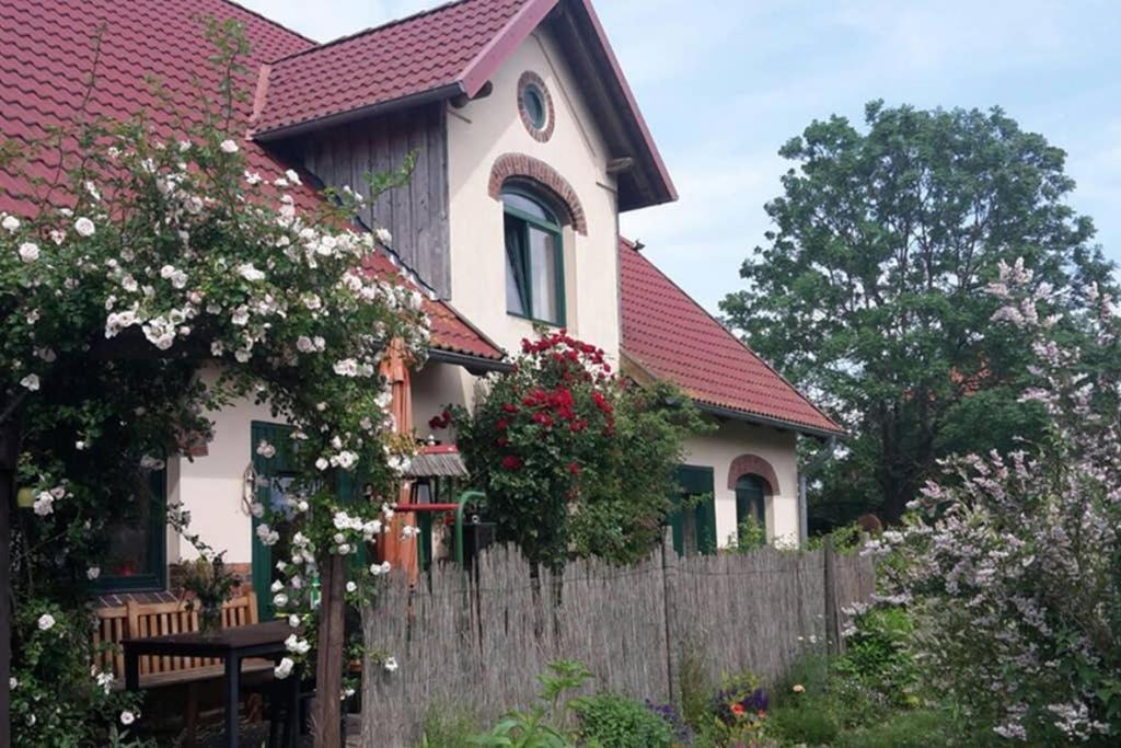Entspannen Im Dorf Am See Zahren Екстер'єр фото
